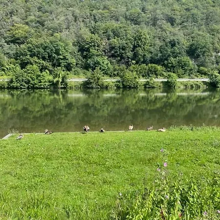 شاليه Gezellige Met Groot Zonneterras In Domaine Du Bonsoy - Vernieuwd In 2024 Blaimont