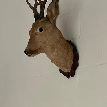 Gezellige Met Groot Zonneterras In Domaine Du Bonsoy - Vernieuwd In 2024